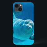 Beluga Whale iPhone 13 Case<br><div class="desc">A curious and friendly Beluga Whale in an underwater viewing © and ® Bigstock® - All Rights Reserved.</div>