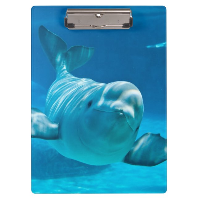 Beluga Whale Clipboard (Front)