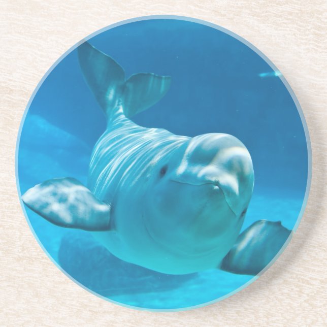 Beluga Whale Coaster (Front)