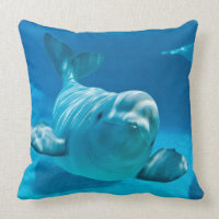Beluga Whale