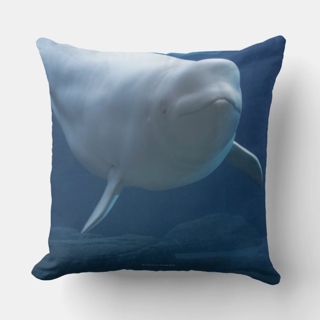 Beluga whale (Delphinapterus leucas) Cushion (Front)