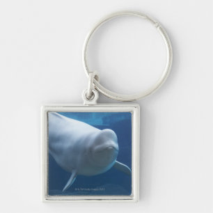 Beluga whale (Delphinapterus leucas) Key Ring