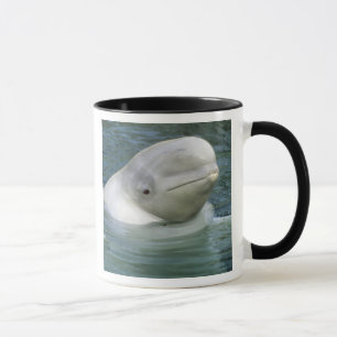 Beluga Whale, Delphinapterus leucas) Mug