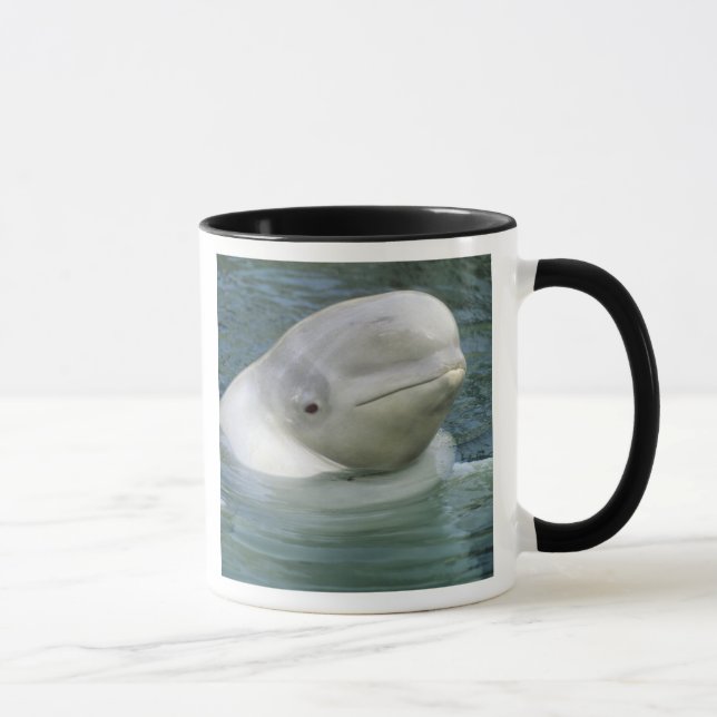 Beluga Whale, Delphinapterus leucas) Mug (Right)
