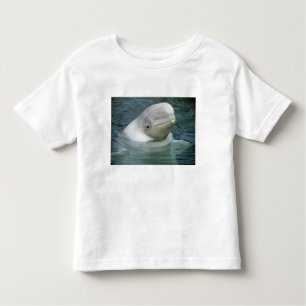 Beluga Whale, Delphinapterus leucas) Toddler T-Shirt