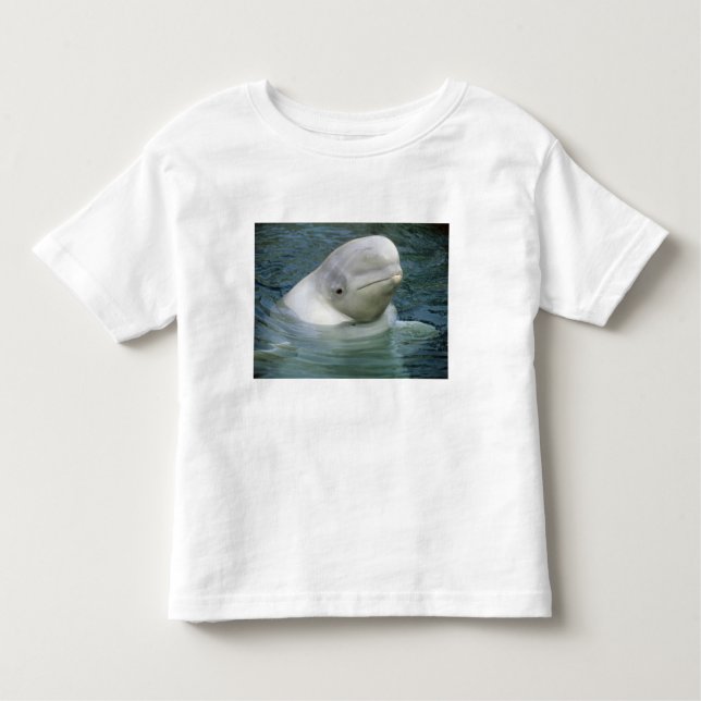 Beluga Whale, Delphinapterus leucas) Toddler T-Shirt (Front)