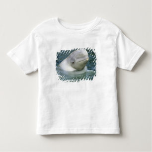 Beluga Whale, Delphinapterus leucas) Toddler T-Shirt