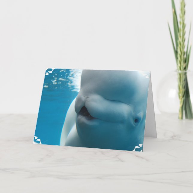 Beluga Whale Greeting Card (Front)