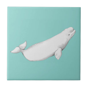 Beluga Whale Illustration Whale Lover Gift Blue Ceramic Tile