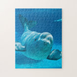 Beluga Whale Jigsaw Puzzle<br><div class="desc">A curious and friendly Beluga Whale in an underwater viewing © and ® Bigstock® - All Rights Reserved.</div>