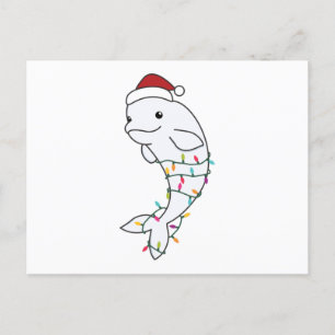 Beluga Whale Merry Christmas Winter Animals Whales Postcard