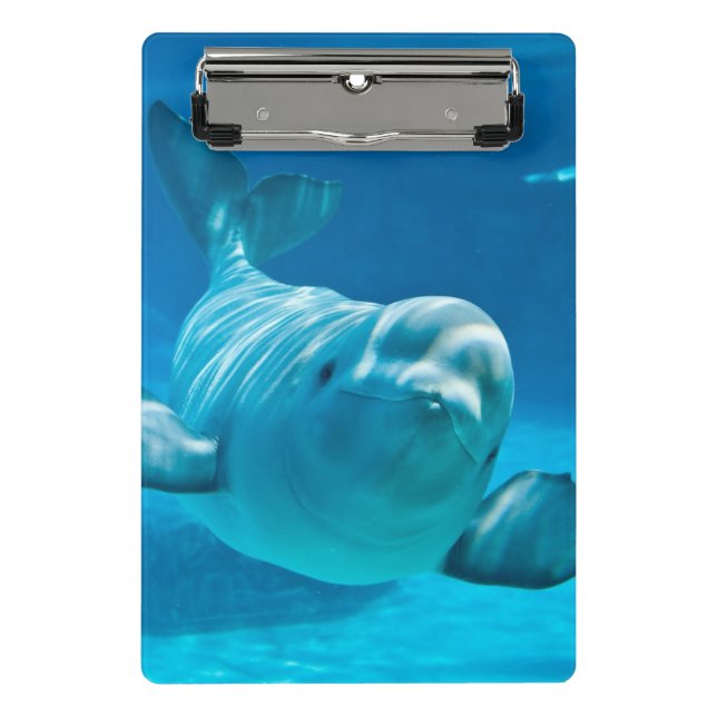 Beluga Whale Mini Clipboard (Front)