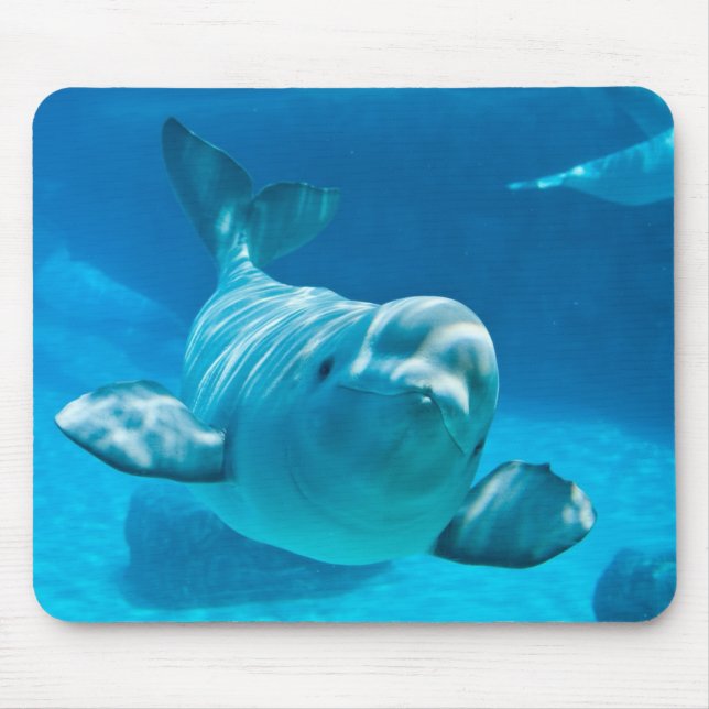 Beluga Whale Mouse Pad (Front)