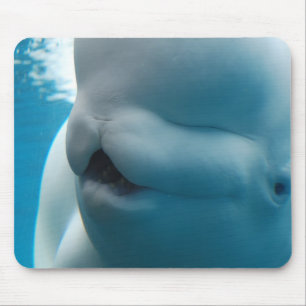 Beluga Whale Mouse Pad