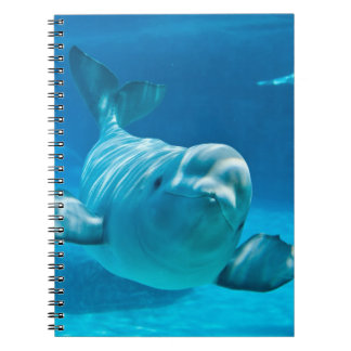 Beluga Whale Notebook