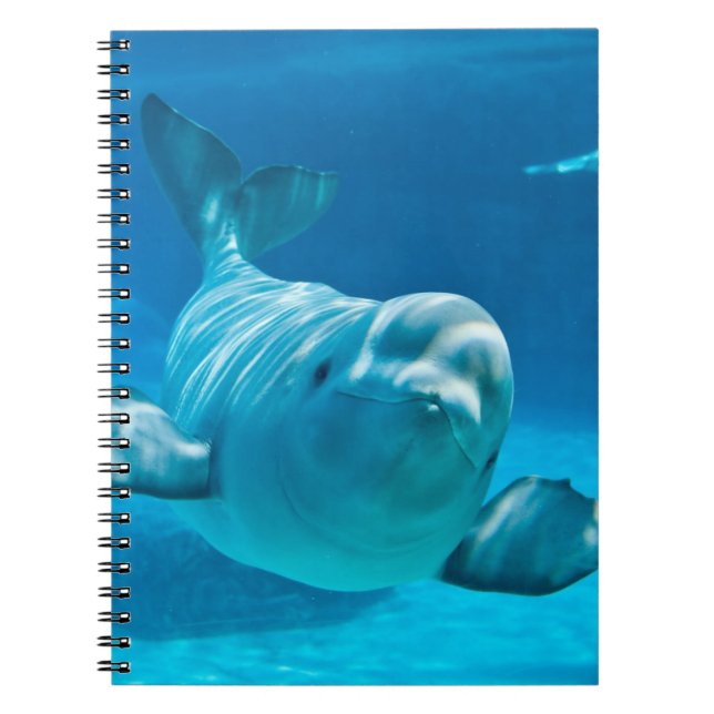 Beluga Whale Notebook (Front)