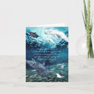 Beluga Whale Ocean   Photo Thank You