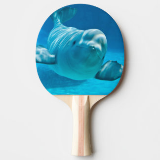 Beluga Whale Ping Pong Paddle