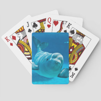 Beluga Whale Playing Cards