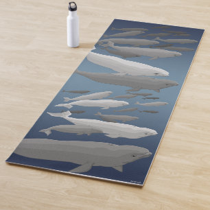 Beluga Whale Yoga Mats 