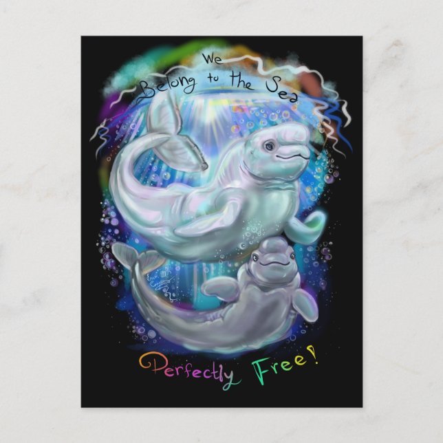 Beluga Whales Postcard (Front)
