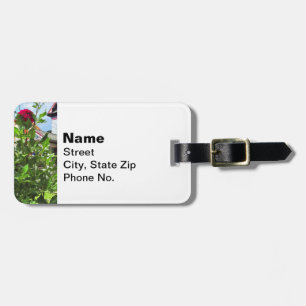 Belvidere NJ - Dahlias in Front Garden Luggage Tag