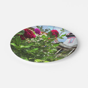 Belvidere NJ - Dahlias in Front Garden Paper Plate