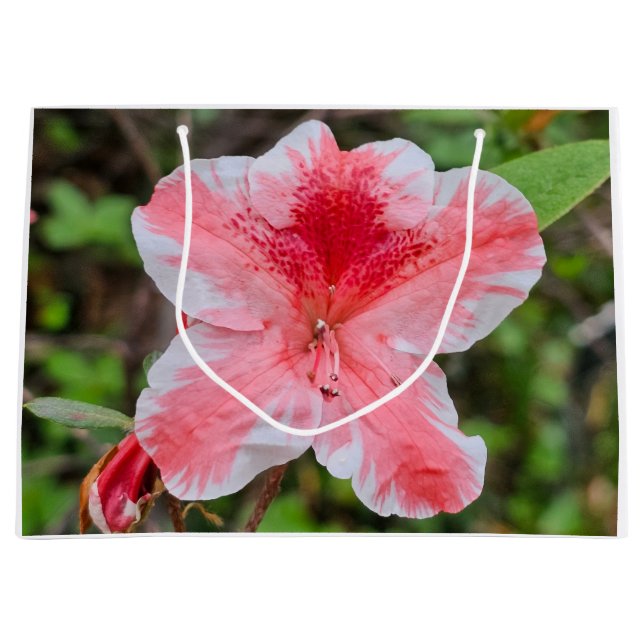 Ben Morrison Azalea  Large Gift Bag (Front)