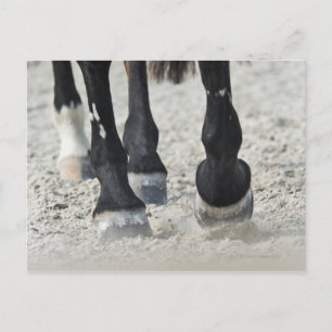 benalamadena costa, malaga, costa del sol, 2 postcard