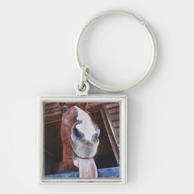 benalamadena costa, malaga, costa del sol, 3 key ring (Front)