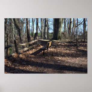 Bench in the Woods Poster