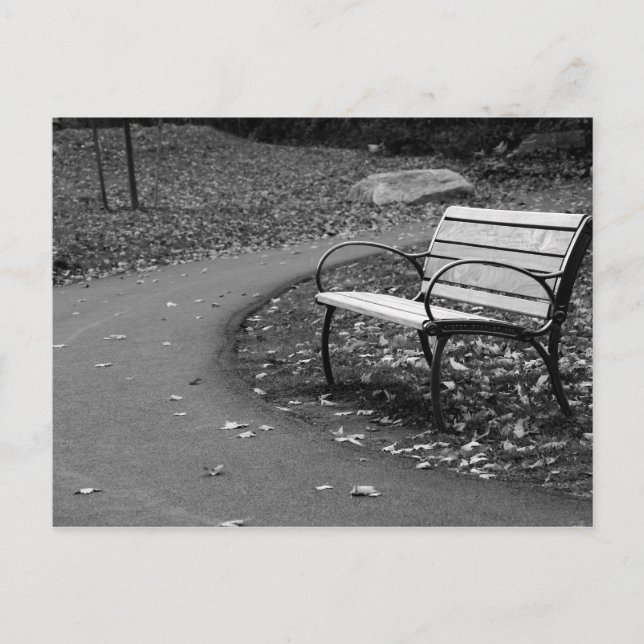 Bench on the Walk Postcard (Front)
