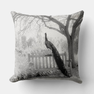 Bench Peacock Cushion