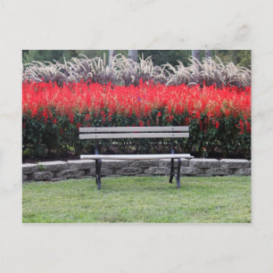 Bench Red Floral Photo Postcard