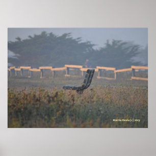 Bench with a View Poster