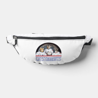 bendastopiy bum bags