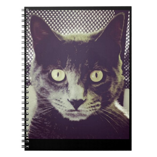 Bender Note book (Front)