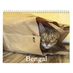 Bengal Calendar