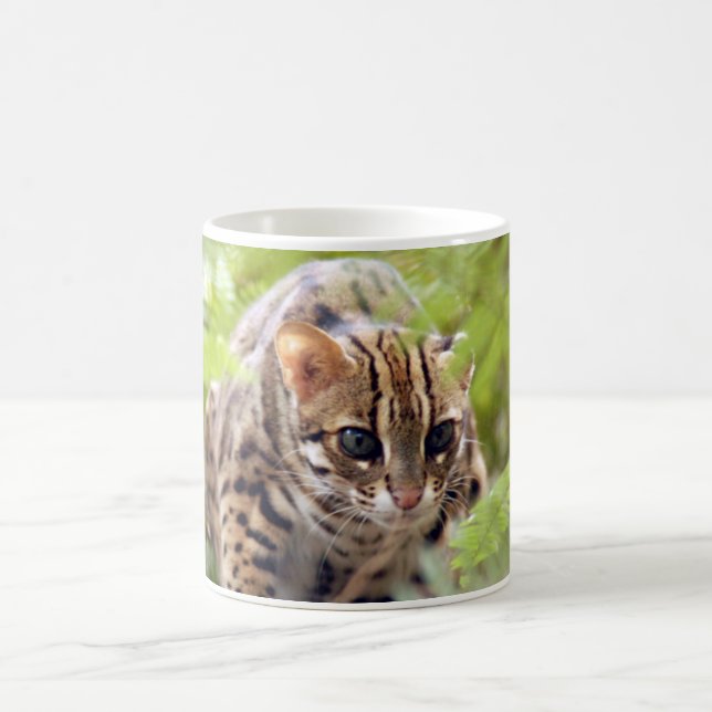 Bengal Cat 004 Coffee Mug (Center)