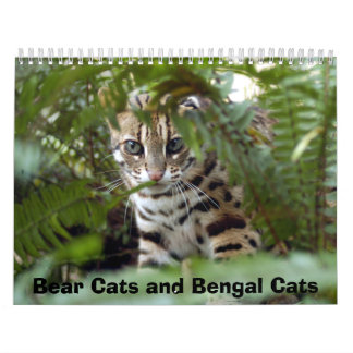 Bengal Cat 022, Bear Cats and Bengal Cats Calendar