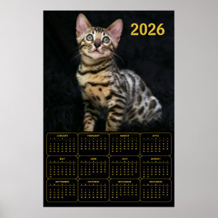 Bengal Cat 2026 Calendar Poster