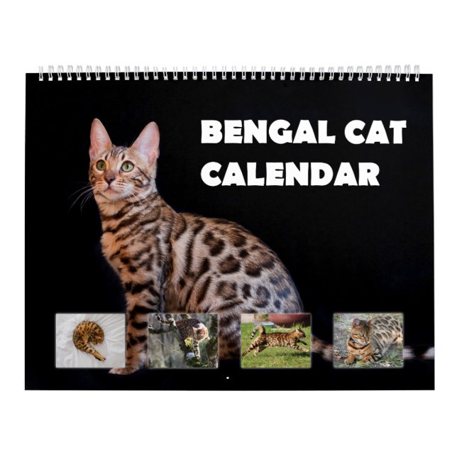 Bengal Cat Calendar (Cover)