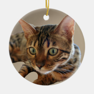 Bengal Cat Ceramic Ornament