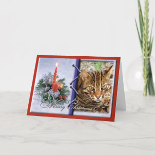 Bengal Cat Christmas Greeting Card