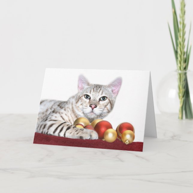 Bengal cat Christmas Holiday Card (Front)
