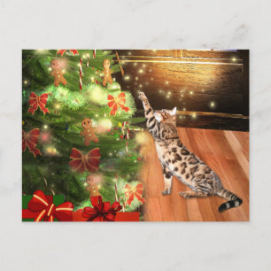 Bengal cat Christmas Holiday Postcard