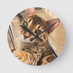 Bengal cat clock