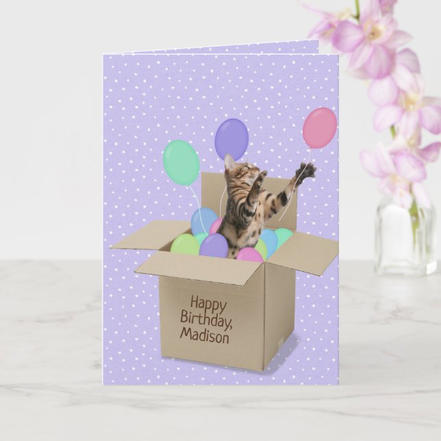 Bengal cat in box on polka dot card (Orchid)