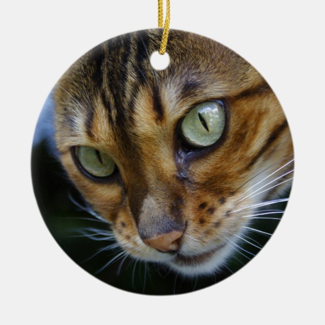 Bengal Cat Portrait Close-Up Ceramic Ornament (Front)