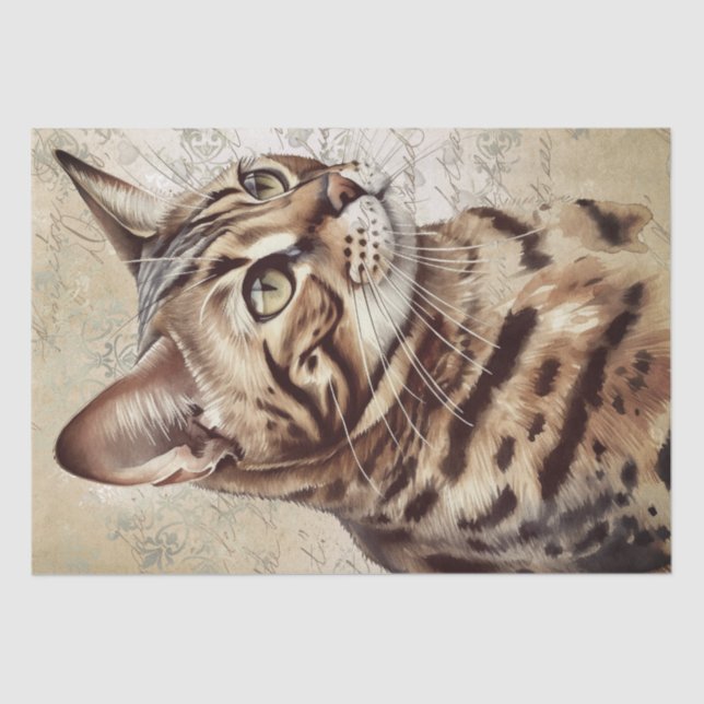 Bengal Cat Tissue Paper (Front)